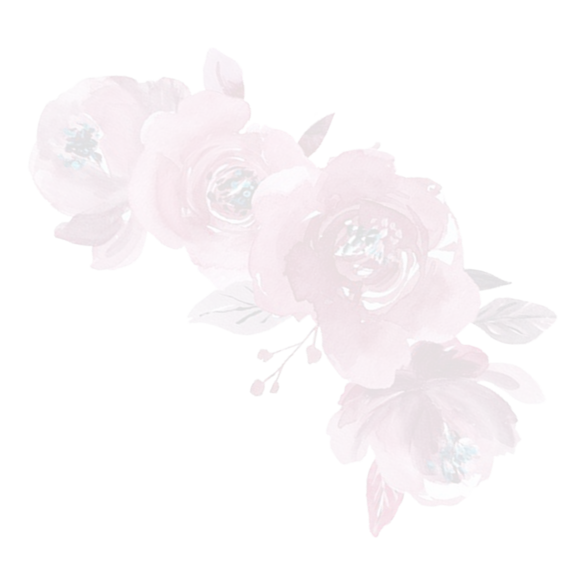 https://melina-hinojosa.click/wp-content/uploads/2024/09/vbnvbnvb.png